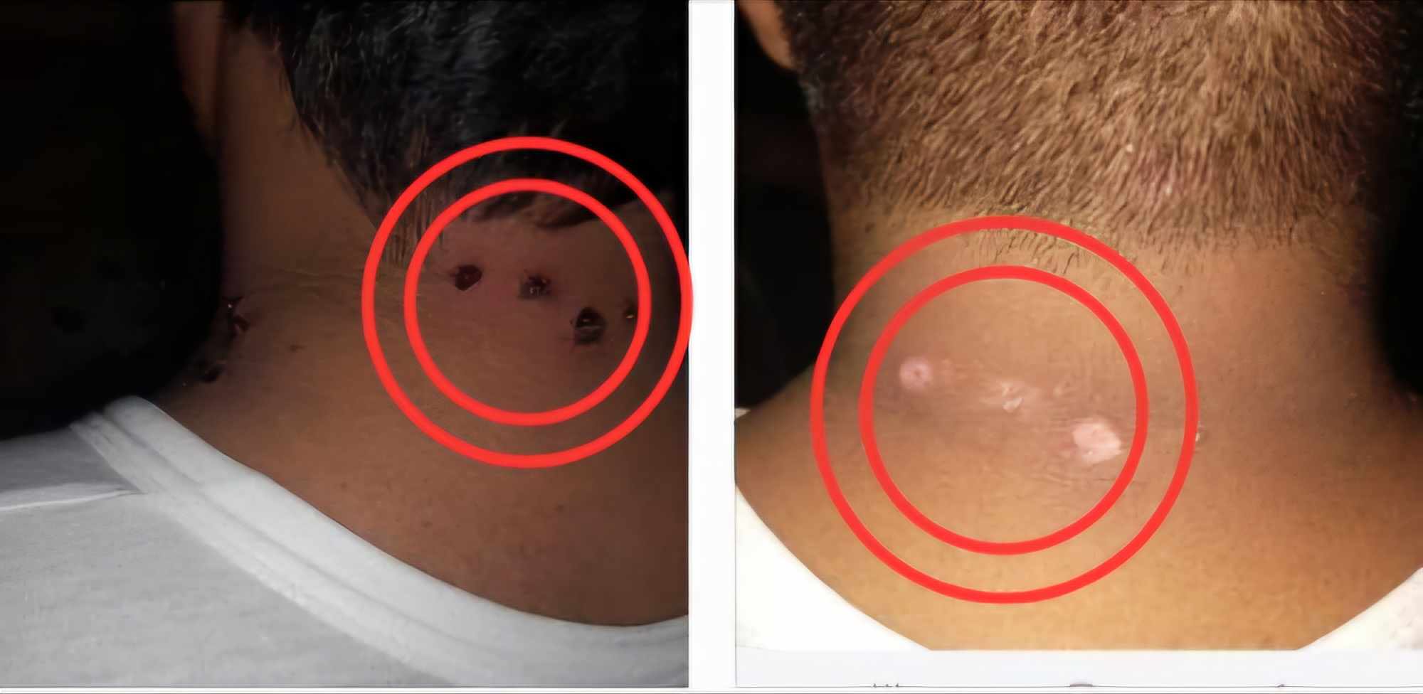 Business Suite_creation_1833427434720469